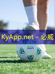 必威:室内健身器材跳跳床