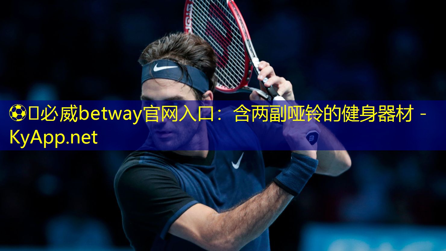 ⚽️必威betway官网入口:含两副哑铃的健身器材