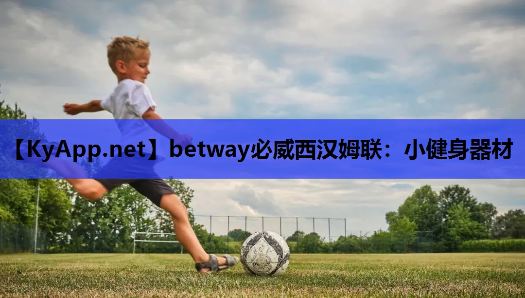betway必威西汉姆联:小健身器材