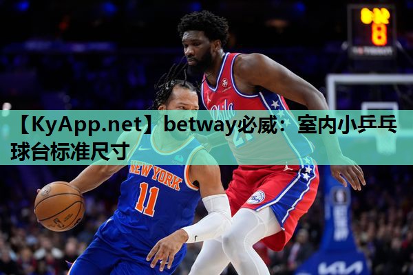 betway必威:室内小乒乓球台标准尺寸