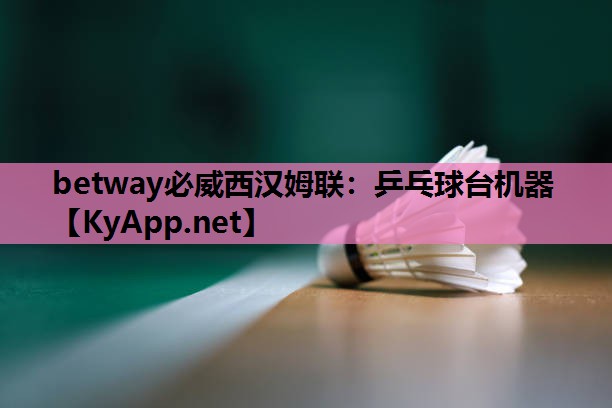 betway必威西汉姆联:乒乓球台机器