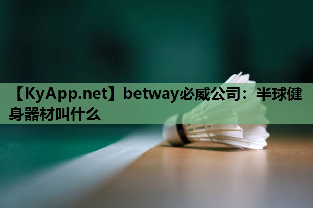 betway必威公司:半球健身器材叫什么
