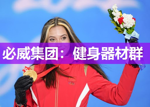 必威集团:健身器材群