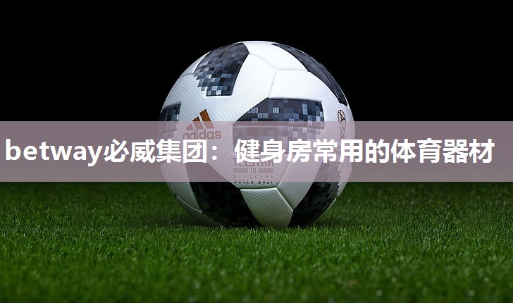 betway必威集团:健身房常用的体育器材