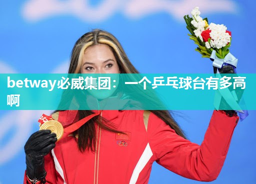 betway必威集团:一个乒乓球台有多高啊