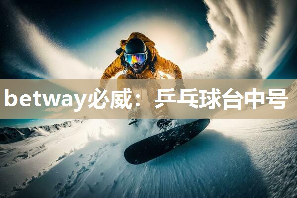 betway必威:乒乓球台中号