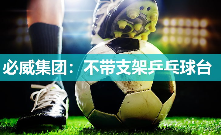 必威集团:不带支架乒乓球台