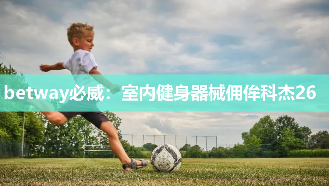 betway必威:室内健身器械佣侔科杰26