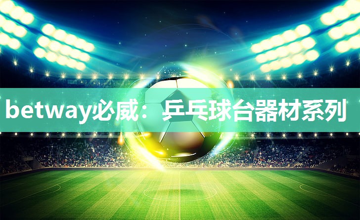 betway必威:乒乓球台器材系列
