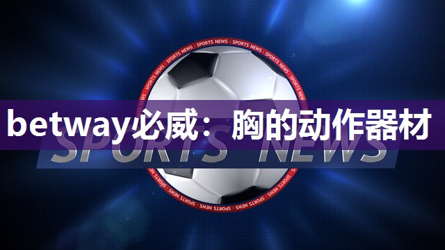 betway必威:胸的动作器材