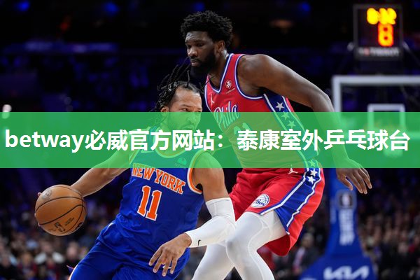 betway必威官方网站:泰康室外乒乓球台
