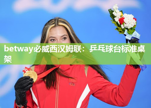 betway必威西汉姆联:乒乓球台标准桌架