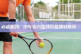 必威集团:少年室内篮球投篮器材推荐