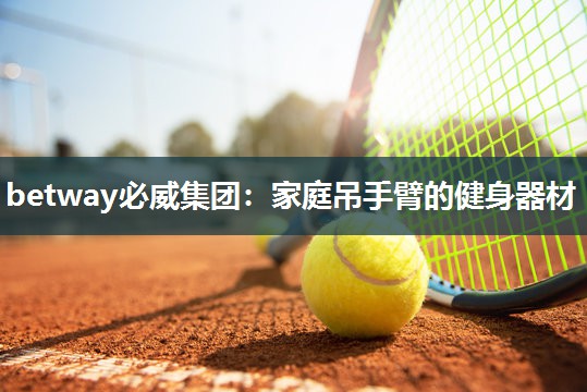 betway必威集团:家庭吊手臂的健身器材