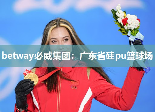 betway必威集团:广东省硅pu篮球场