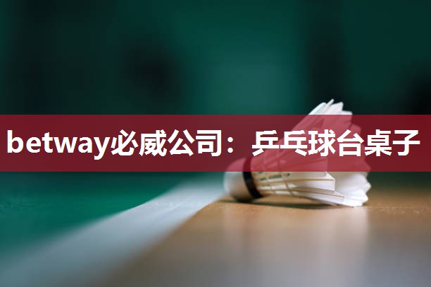 betway必威公司:乒乓球台桌子