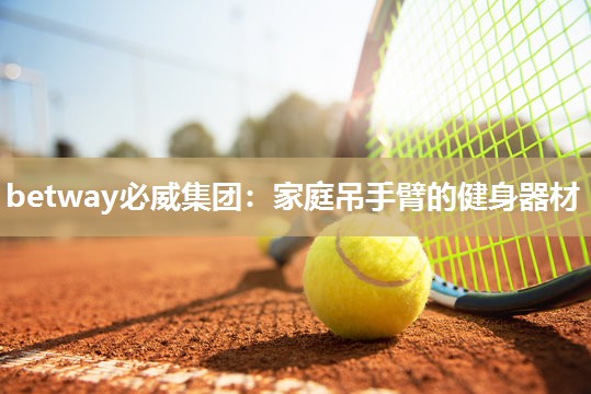 家庭吊手臂的健身器材